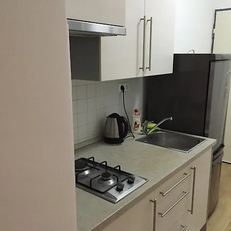 Utulny Dacickeho Apartment *